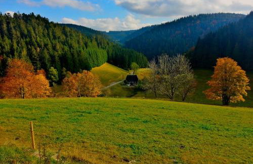 Outdoor & Relax Blackforest - Foto 32