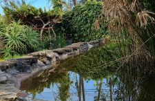 Casa do Lago - Foto 13