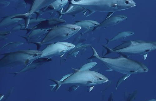 Apartamentos Lisboa - Foto 34