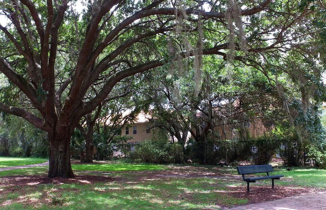 Family Friendly 4beds Close to Disney Compass Bay Resort Orlando 5102 - Foto 29