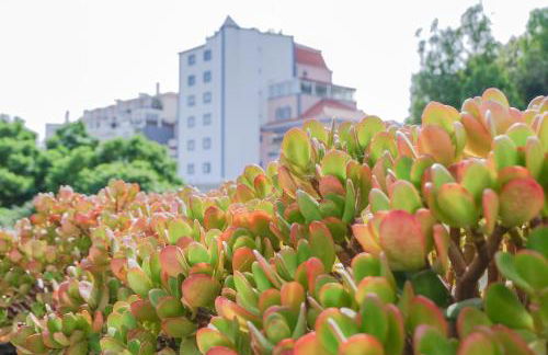 Cacao Estoril Apartment - Photo 10