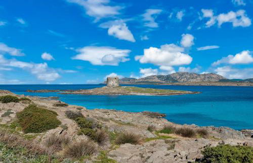 Rifugio Del Sognatore Stintino - Foto 25