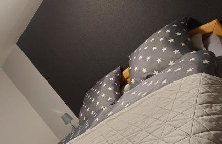 Haus Schnettler mit Sauna - Photo 4