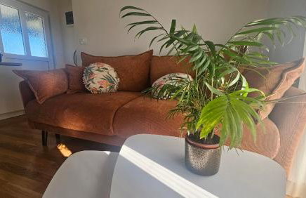 Robinson House Mimo - Photo 28