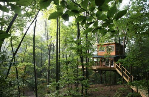 Magical Treehouse Romantic Hot Tub and Sauna - Foto 6