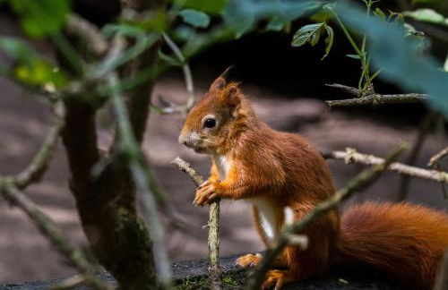 Ferienwohnung Maribell Jabel - Foto 17