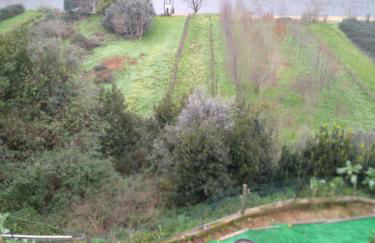 Moradia Lili - Photo 14