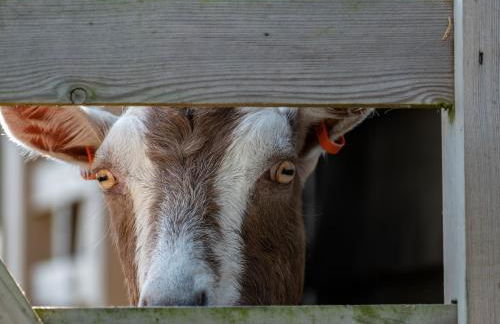 Atlantic Lodge - Photo 29