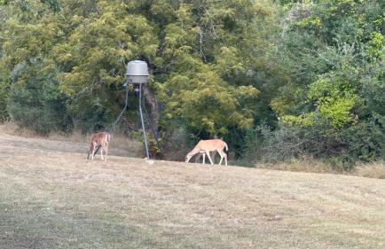 Gorgeous 10 Acre Estate POOL HOT TUB GAME ROOM - Foto 64