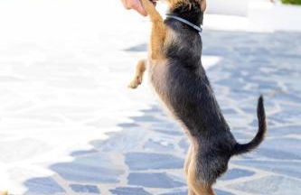 Yasmine Casas Barcelona - Photo 27