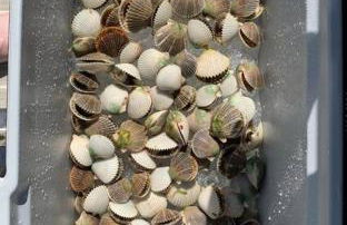 4BR Private Dock, Warm Spring Canal, Kayaks, Canoe - Photo 7