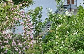 Alexandras Ferienwohnung - Maisonette 90 qm mit Balkon - Foto 41