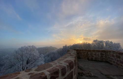 Ferienhaus Müllers Nest - Foto 24