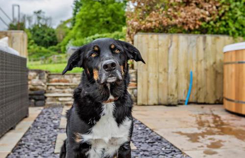 5 Bed in Dulverton oc-41133 - Foto 13