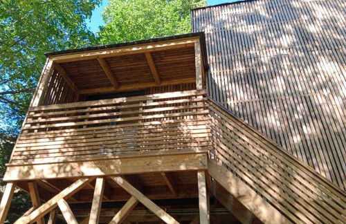 les gites axéens (l'Ours) - Foto 16