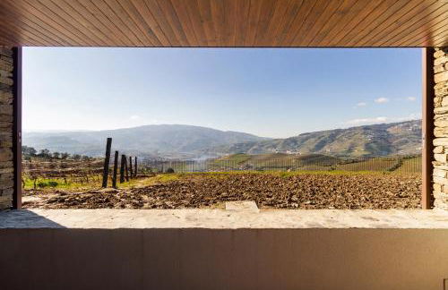 Douro Valley Luxury Home with Vineyard and Infinity Pool - Photo 26