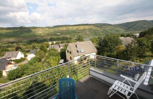 Moseltraum Alte Schmiede - Foto 56