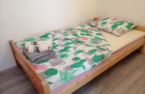 Apartman Kopriva - Photo 16