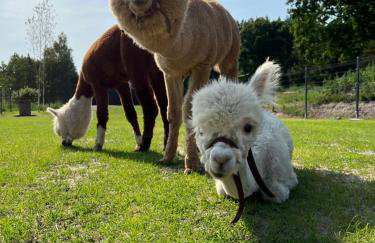 Ulinia Zacisze Dom Comfort 70m2 - Photo 61