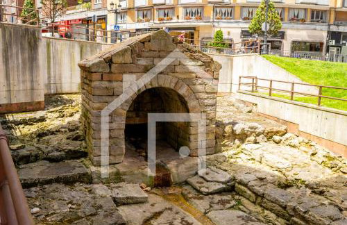 A Paicega - Oviedo Centro - Foto 53