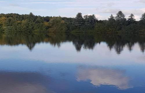 Quiet Comfort in Oelsnitz - Foto 14