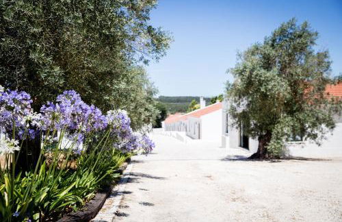 Casas de São José - Foto 21