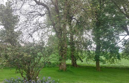 Disdow House - Foto 67