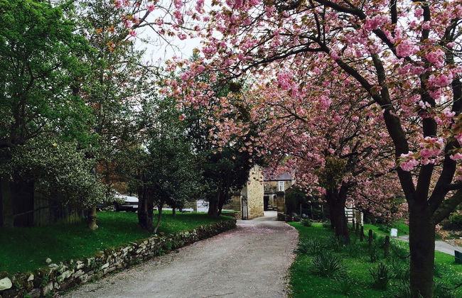 Lastingham Grange - Foto 39