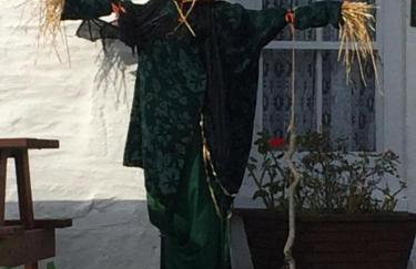 3 Bedroom Holiday Home by beach in Newquay - Foto 51