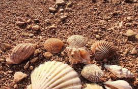 Sea view Jagoda apartment 3 - Foto 36