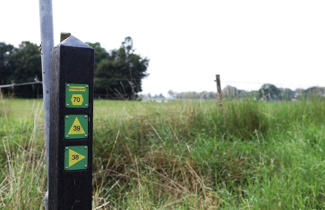Tranquil Farmhouse near Forest in Ulicoten with Terrace - Foto 28