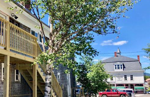 Upscale Moosehead lake Suite downtown Greenville - Foto 24