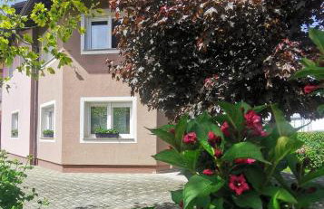 Apartmani Jastreb - Foto 10