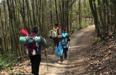 Takápradalù - Foto 20