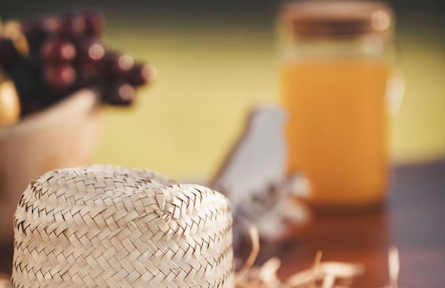 Vale Pisco - Photo 75