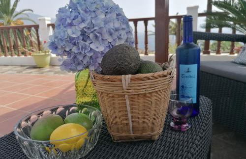 Finca Los Álamos - Foto 13