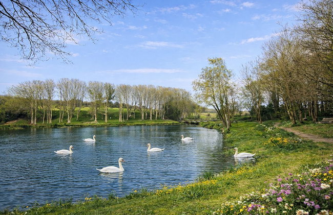 North Norfolk Glamping - Foto 41