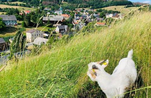 Naturhof Kluge - Foto 53