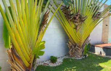 Refúgio Gourmet com Piscina e Ar condicionado - Photo 12