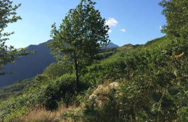 Casa Marta - Foto 10