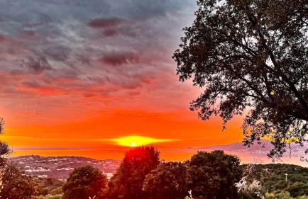 Authentique Casellu en pierre à Porticcio avec vue sur la mer - Foto 17