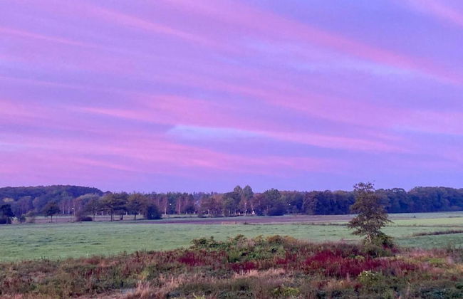 Relaxing Woodland Retreat - Foto 34