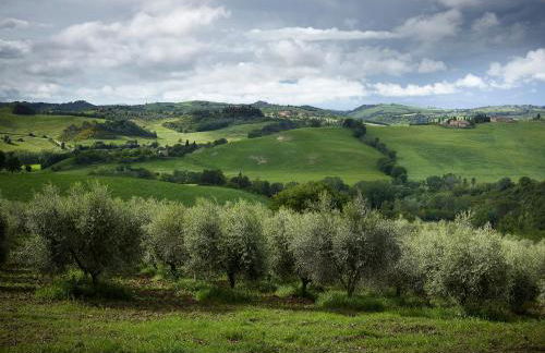 Borgo Lucignanello Bandini - Foto 53