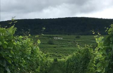 Schwalmala Logement calme au coeur du vignoble - Foto 21
