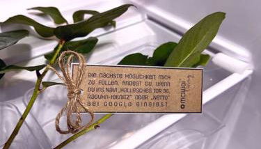 1 - 4 Pers. Apartment in Jeßnitz • Mawoi Living - Foto 5