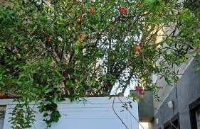 Casa Itanhaém Praia Cibratel - Foto 2