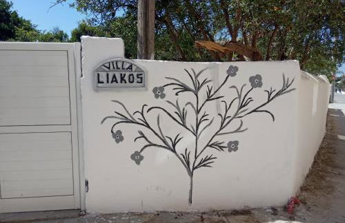 Εlegant Villa Liakos - Foto 19
