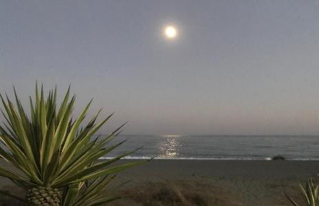 Oasis Costalita Estepona I - Photo 36