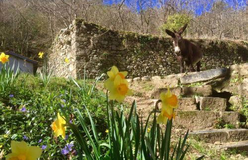 Le Gîte - La Ferme du Pouget - Foto 18