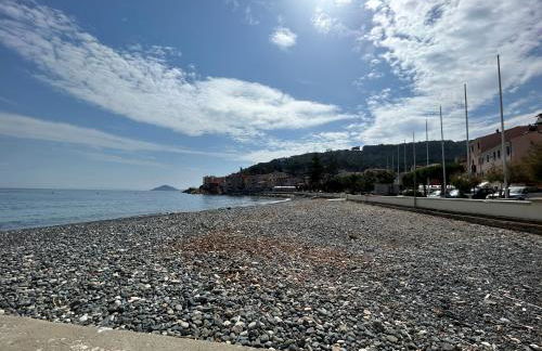 Agave Marina - Foto 61